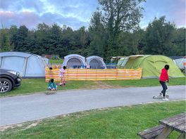 2 pitches as a compound for kids/dogs