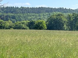 From dinton park