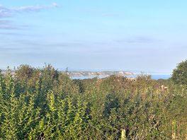 View when peeking above hedge