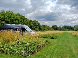 Quiet and peaceful pitches