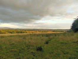 Scenery from around the area