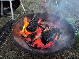 Cheap wood for fire is available