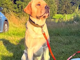 Unser hund fand es auch super!!!!