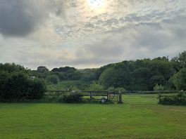 View from site