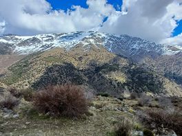 Mountain views