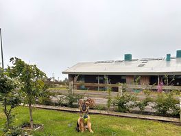 View of buildings from site.