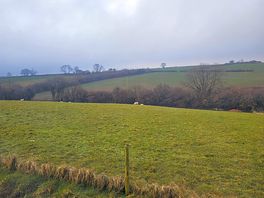 View from our pitch