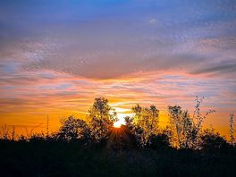 Sunset view!