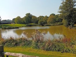 Fishing lakes on site