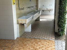 Toi