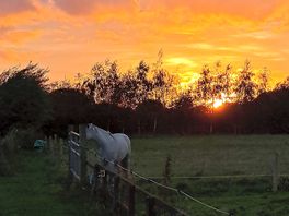 Beautiful sunsets