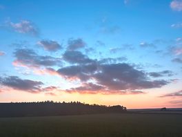 The sunset