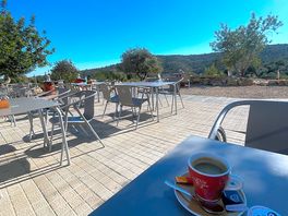 View from the restaurant