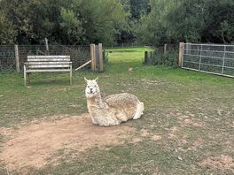 Zoo