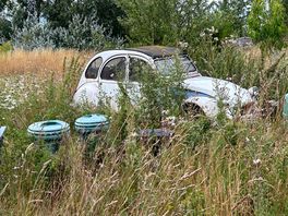 2cv