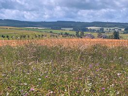 Walk to la roche