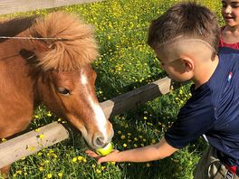 Kids made a new friend