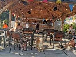 Bar area