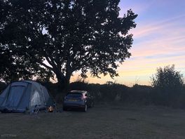 Sunset behind the oak tree.