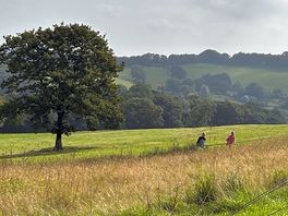 Kids loved the wide open space