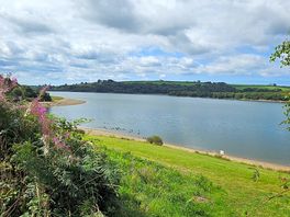 Lake view