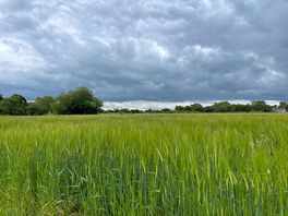 Field walks
