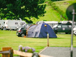 Grass tent pitches