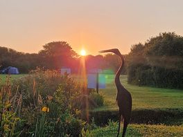 Dawn sunburst - awesome