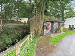 Black beck