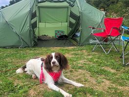 Tent pitch next to the river