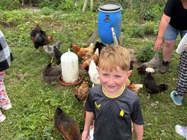 Chicken feeding