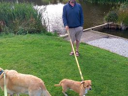 Walks with the dogs