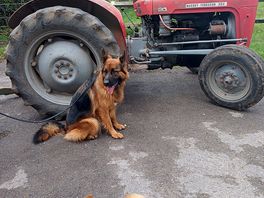 James tractor