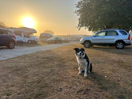 Charlie enjoying the sunrise