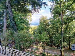 Peaceful amongst the trees.