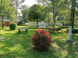Grass pitches and picnic tables under the trees