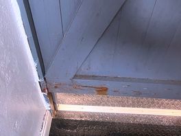 Black mould
