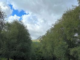 View from the pitch