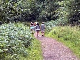Forest walks through the gates on the edge of the site.