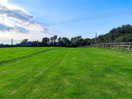 Grass pitches