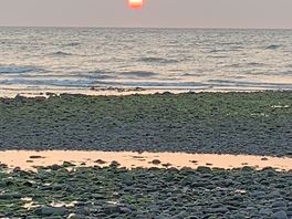 Sea