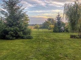 The field