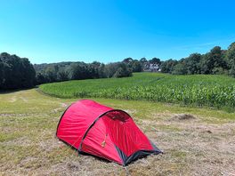 Tent where we pitched, next to maize.