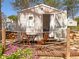Cabin exterior
