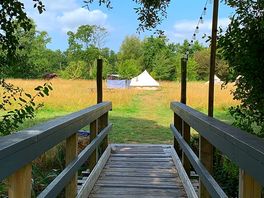 Gorgeous wooden bridge into camping field