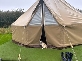 Huge tent inside and it withstood torrential rain one one night