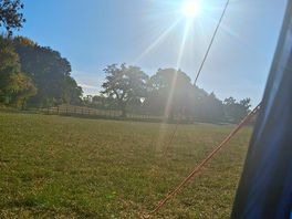 Beautiful morning view