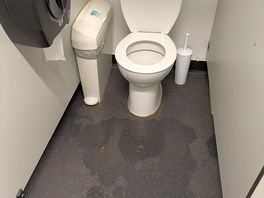 Wet around the loo