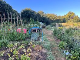 Nearby allotments