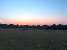 Gorgeous sunset with horses in the distance.